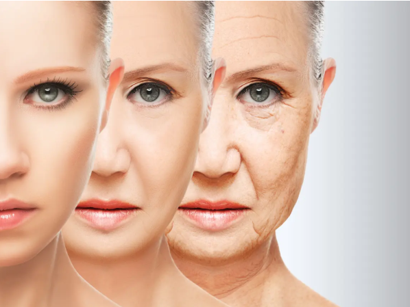 الوقاية من شيخوخة البشرة